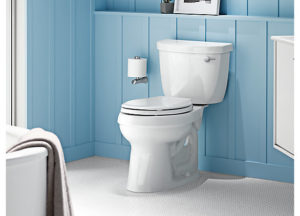 Kohler Revolution 360 Swirl Flushing Technology